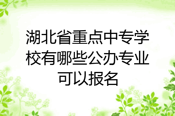 湖北省重点中专学校有哪些公办专业可以报名