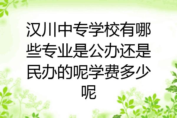 汉川中专学校有哪些专业是公办还是民办的呢学费多少呢