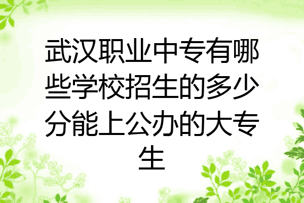 武汉职业中专有哪些学校招生的多少分能上公办的大专生