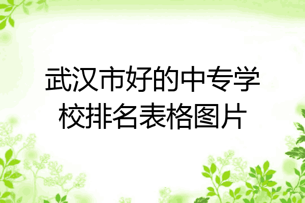 武汉市好的中专学校排名表格图片