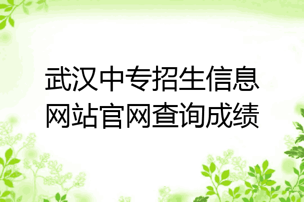 武汉中专招生信息网站官网查询成绩