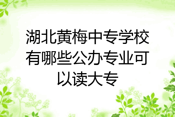 湖北黄梅中专学校有哪些公办专业可以读大专