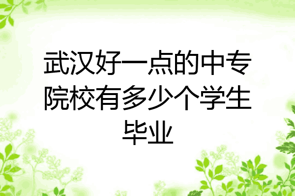 武汉好一点的中专院校有多少个学生毕业