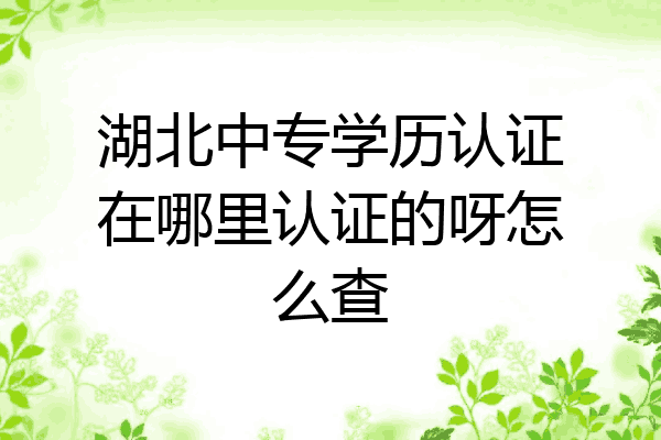 湖北中专学历认证在哪里认证的呀怎么查