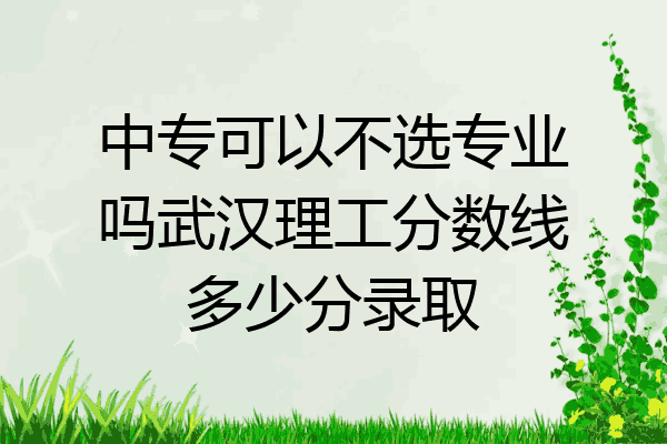 中专可以不选专业吗武汉理工分数线多少分录取