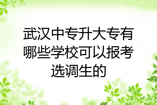 武汉中专升大专有哪些学校可以报考选调生的