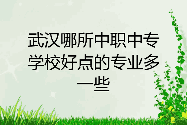 武汉哪所中职中专学校好点的专业多一些