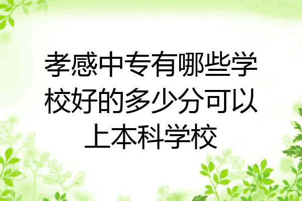 孝感中专有哪些学校好的多少分可以上本科学校