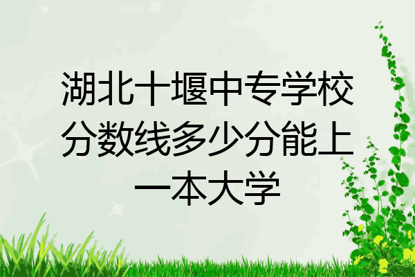 湖北十堰中专学校分数线多少分能上一本大学