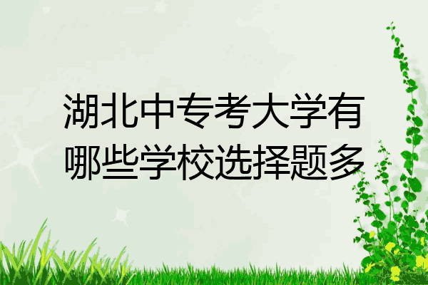 湖北中专考大学有哪些学校选择题多