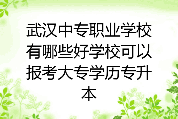 武汉中专职业学校有哪些好学校可以报考大专学历专升本