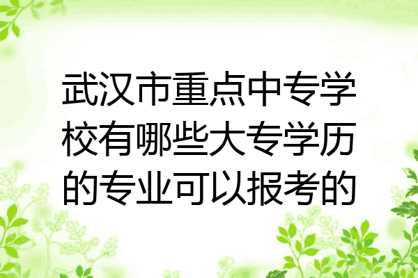武汉市重点中专学校有哪些大专学历的专业可以报考的