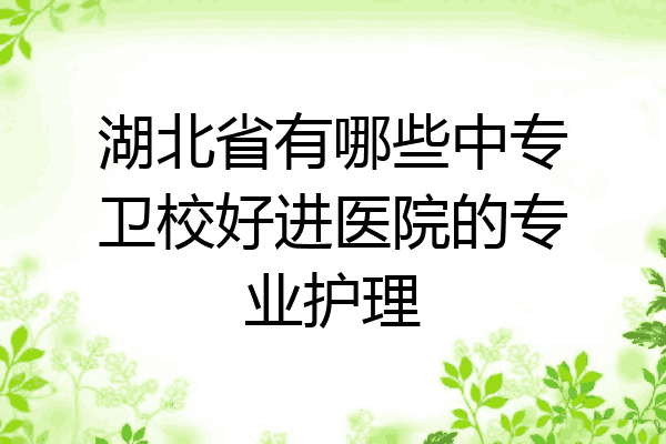 湖北省有哪些中专卫校好进医院的专业护理