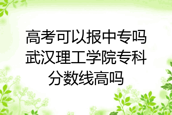 高考可以报中专吗武汉理工学院专科分数线高吗