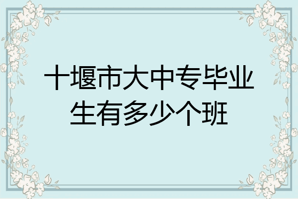十堰市大中专毕业生有多少个班