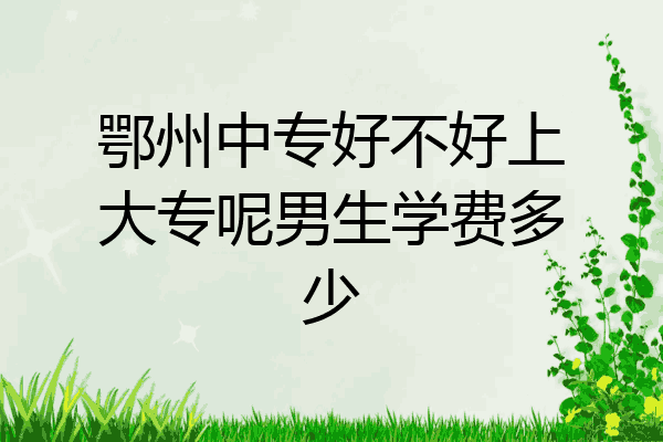 鄂州中专好不好上大专呢男生学费多少