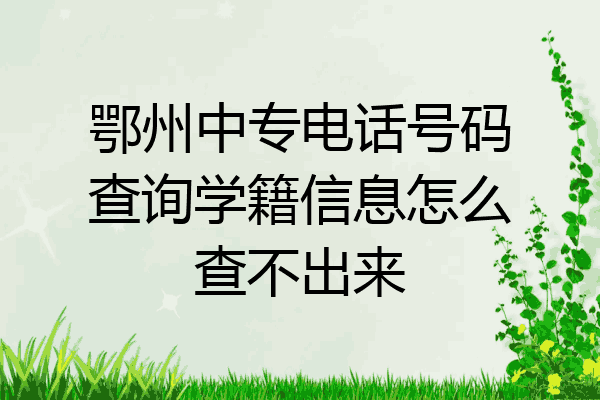 鄂州中专电话号码查询学籍信息怎么查不出来
