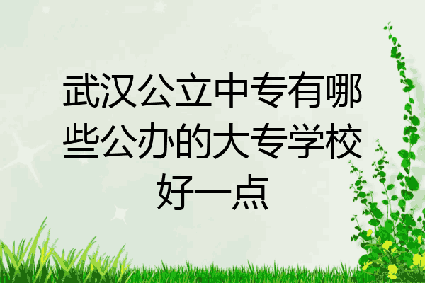 武汉公立中专有哪些公办的大专学校好一点