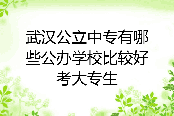 武汉公立中专有哪些公办学校比较好考大专生