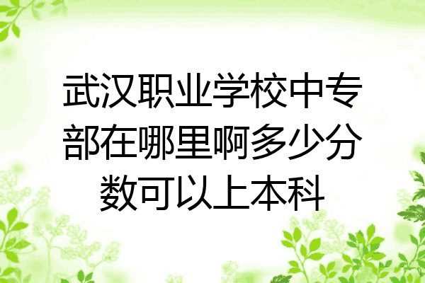武汉职业学校中专部在哪里啊多少分数可以上本科