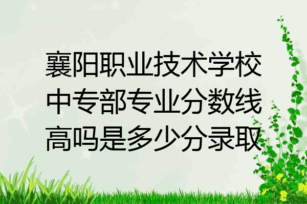襄阳职业技术学校中专部专业分数线高吗是多少分录取