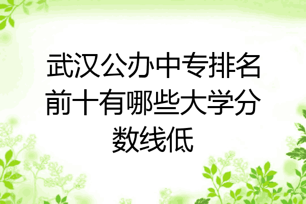 武汉公办中专排名前十有哪些大学分数线低