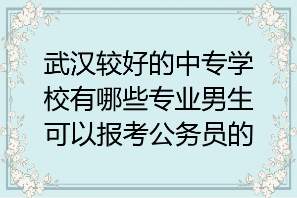武汉较好的中专学校有哪些专业男生可以报考公务员的