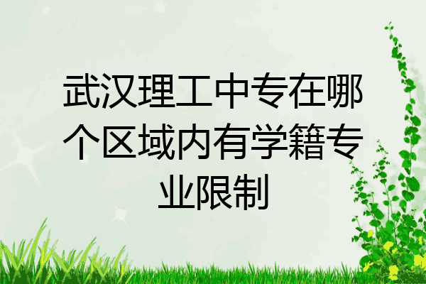武汉理工中专在哪个区域内有学籍专业限制