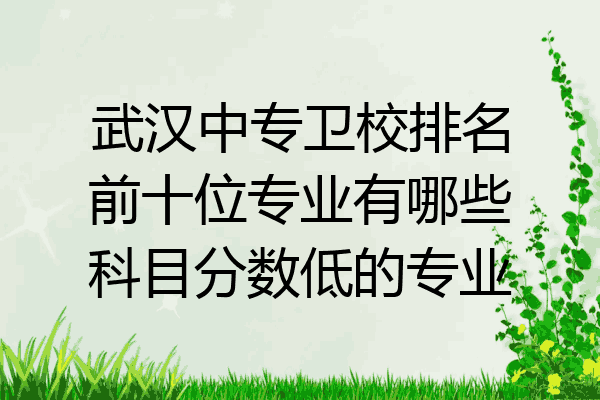 武汉中专卫校排名前十位专业有哪些科目分数低的专业