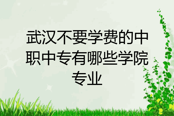武汉不要学费的中职中专有哪些学院专业