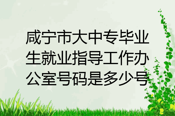 咸宁市大中专毕业生就业指导工作办公室号码是多少号