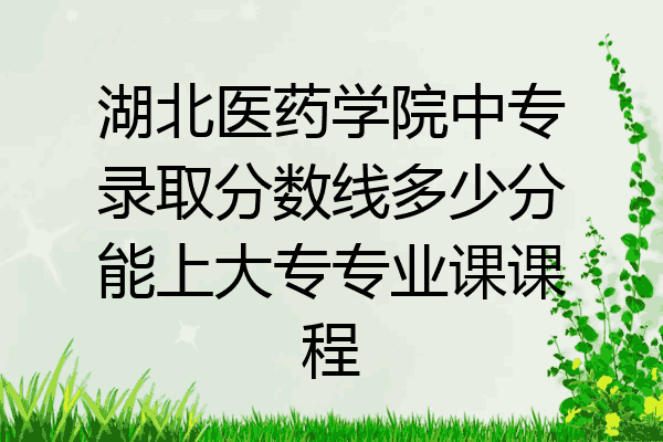 湖北医药学院中专录取分数线多少分能上大专专业课课程