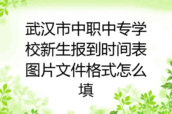 武汉市中职中专学校新生报到时间表图片文件格式怎么填