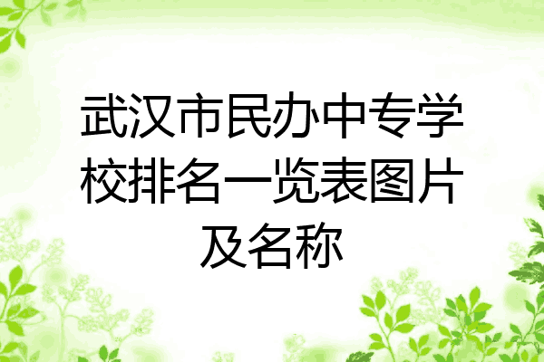 武汉市民办中专学校排名一览表图片及名称
