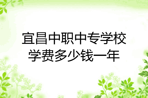 宜昌中职中专学校学费多少钱一年