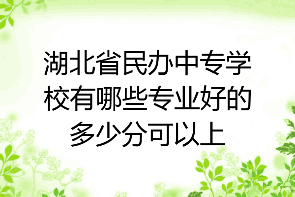 湖北省民办中专学校有哪些专业好的多少分可以上