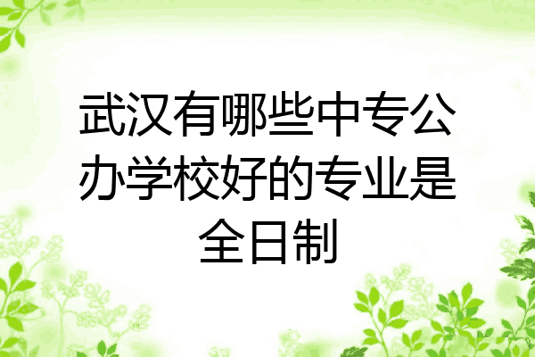 武汉有哪些中专公办学校好的专业是全日制