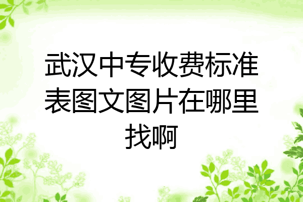 武汉中专收费标准表图文图片在哪里找啊