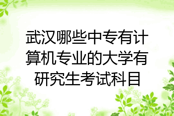 武汉哪些中专有计算机专业的大学有研究生考试科目