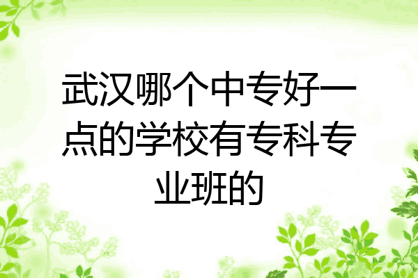 武汉哪个中专好一点的学校有专科专业班的