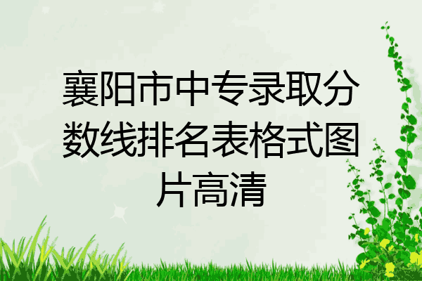 襄阳市中专录取分数线排名表格式图片高清