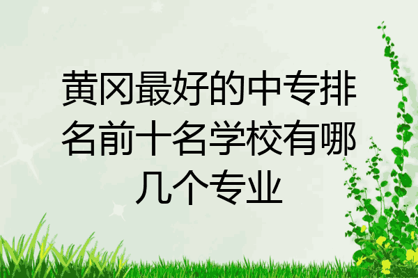 黄冈最好的中专排名前十名学校有哪几个专业