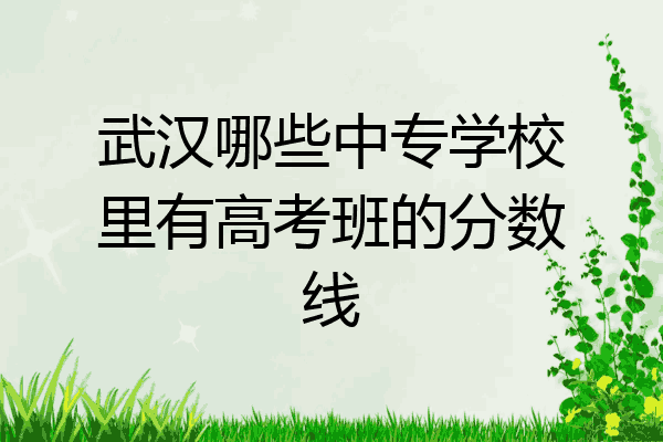 武汉哪些中专学校里有高考班的分数线