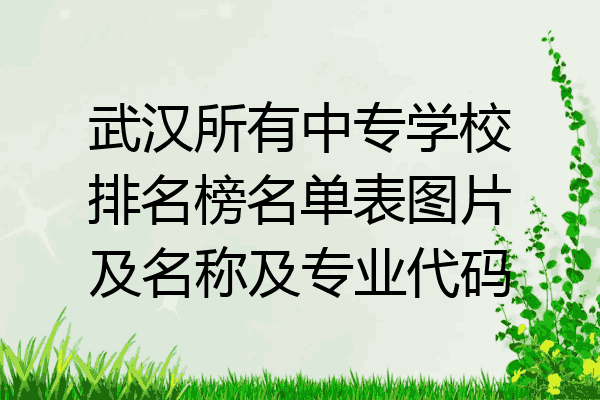 武汉所有中专学校排名榜名单表图片及名称及专业代码