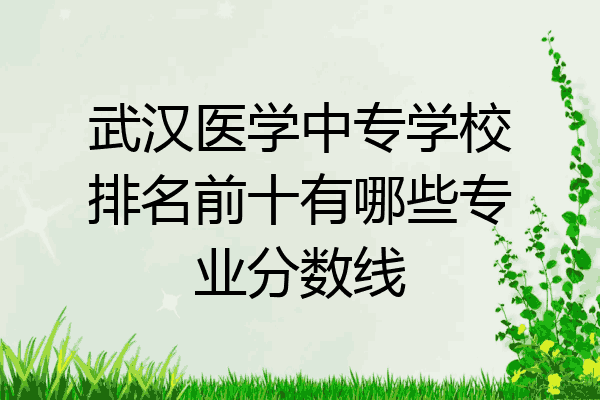 武汉医学中专学校排名前十有哪些专业分数线