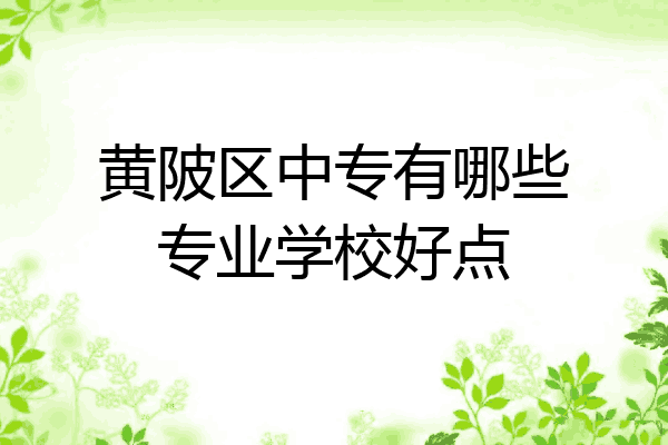 黄陂区中专有哪些专业学校好点