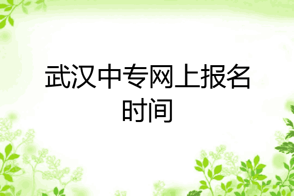 武汉中专网上报名时间