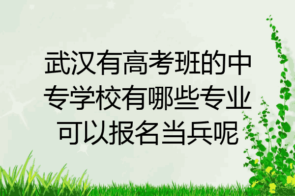武汉有高考班的中专学校有哪些专业可以报名当兵呢