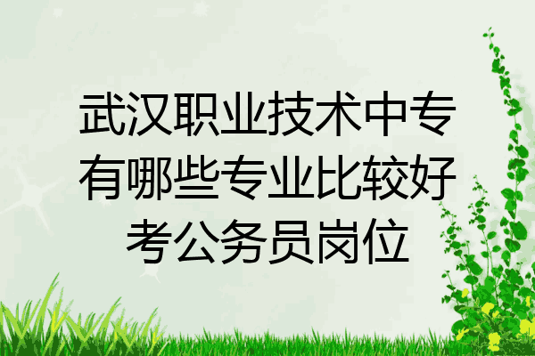 武汉职业技术中专有哪些专业比较好考公务员岗位