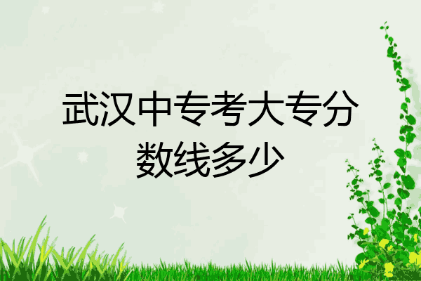 武汉中专考大专分数线多少